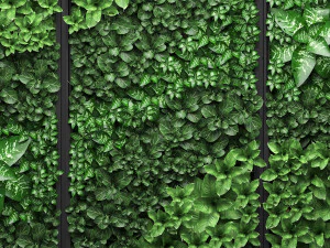 vertical gardening picture 3D Model