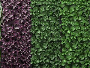 vertical gardening collection 3D मॉडल