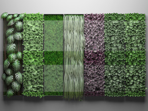 vertical gardening collection 3D मॉडल