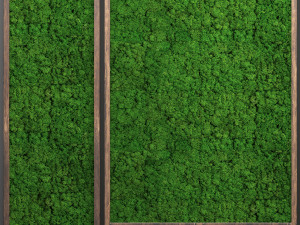 stabilized moss 3D 模型
