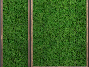 stabilized moss 3D Model