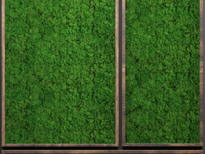 stabilized moss 3D 模型