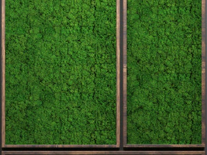 stabilized moss 3D Model