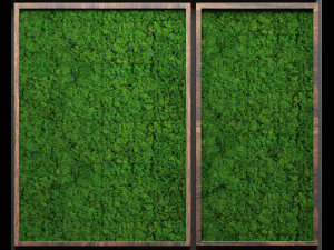 stabilized moss 3D 模型