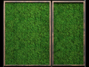 stabilized moss 3D Model