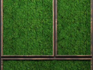 stabilized moss 3D 模型