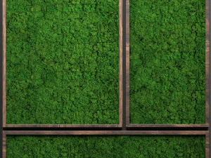 stabilized moss 3D Model