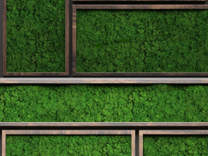 stabilized moss 3D 模型