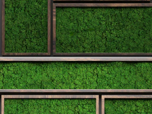 stabilized moss 3D Model