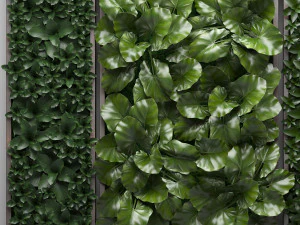 vertical gardening picture 2 3D Model
