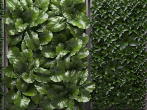 vertical gardening picture 2 3D Model