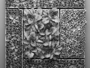 vertical gardening picture 2 3D Модель