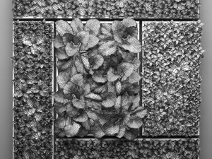 vertical gardening picture 2 3D Model