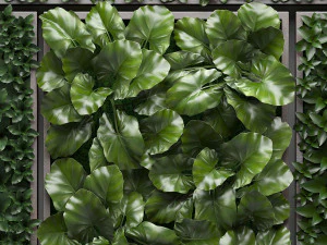 vertical gardening picture 2 3D Model