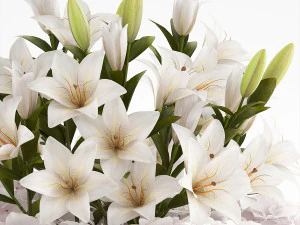 decorative bouquet of flowers 3D Model