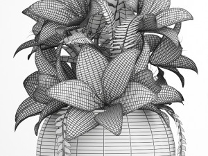 decorative bouquet of flowers 3D Model