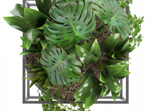 collection exotic plants Model 3D