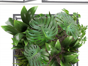 collection exotic plants Model 3D