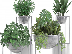 collection exotic plants Model 3D