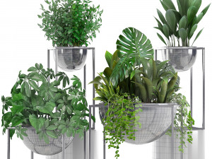 collection exotic plants Model 3D