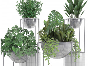 collection exotic plants Model 3D