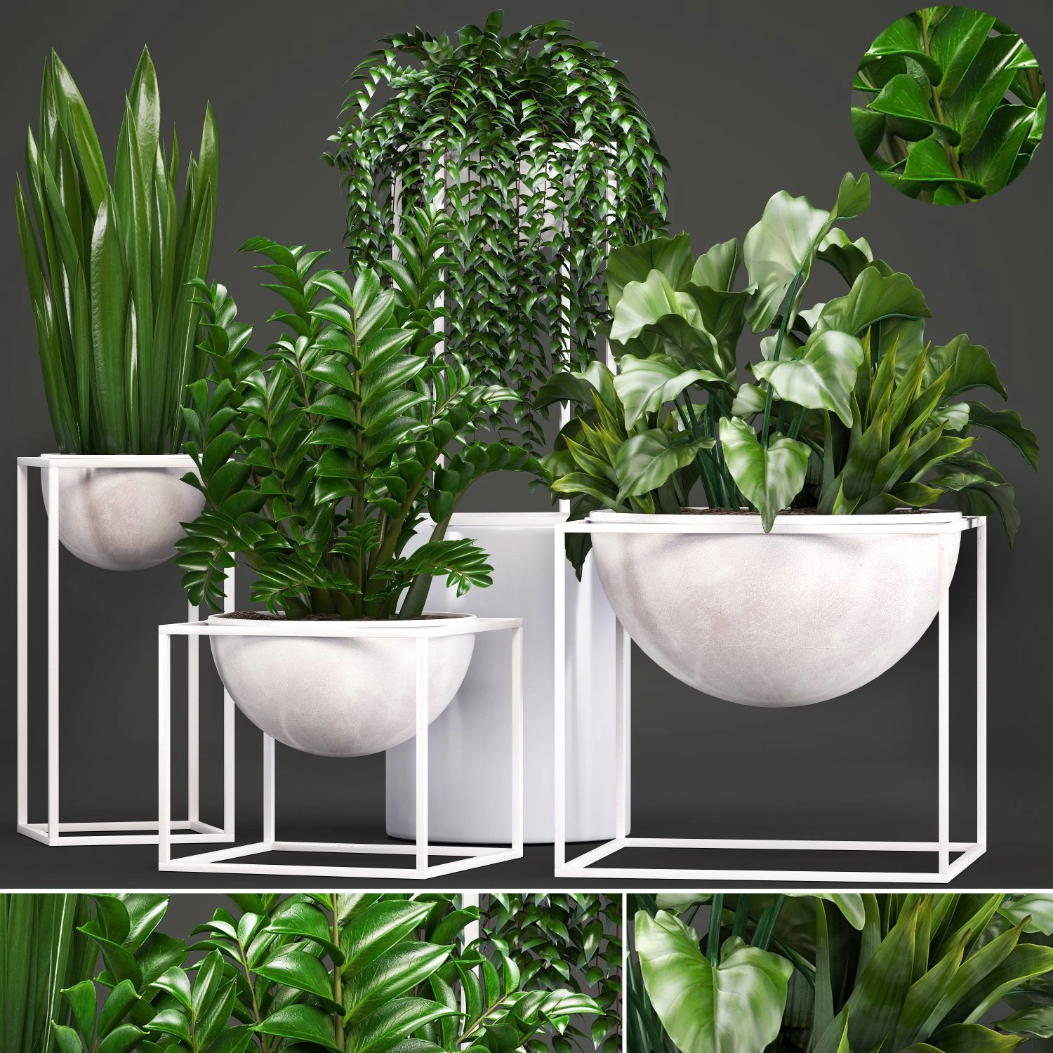 collection exotic plants 3D Model .c4d .max .obj .3ds .fbx .stl .blend 