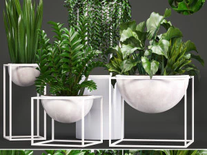 cole&ccedil;&atilde;o de plantas ex&oacute;ticas Modelo 3D