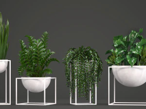 collection exotic plants 3D Model