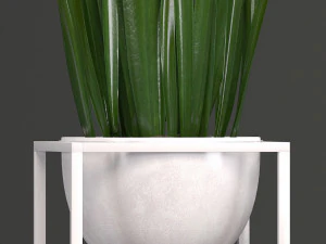 collection exotic plants 3D Model