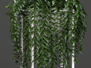 collection exotic plants 3Dモデル