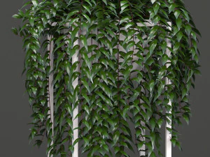 collection exotic plants 3D Model