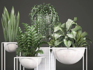 collection exotic plants 3D Model
