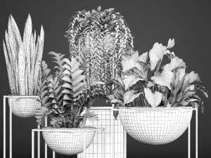 collection exotic plants 3D Model