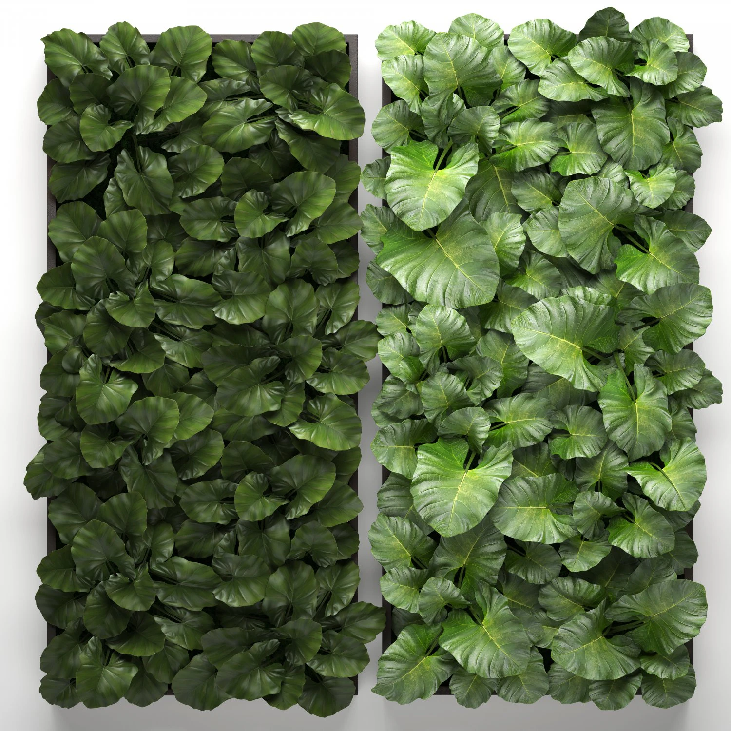 vertical gardening 3D Model .c4d .max .obj .3ds .fbx .stl .blend 