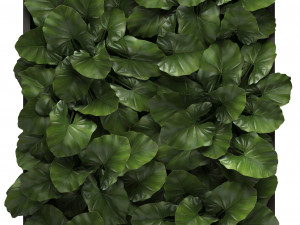 vertical gardening Modello 3D