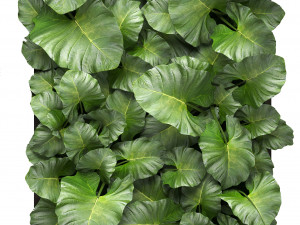 vertical gardening Modello 3D