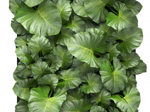 vertical gardening 3D Model