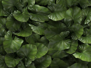 vertical gardening Modello 3D