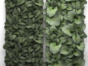 vertical gardening Modello 3D