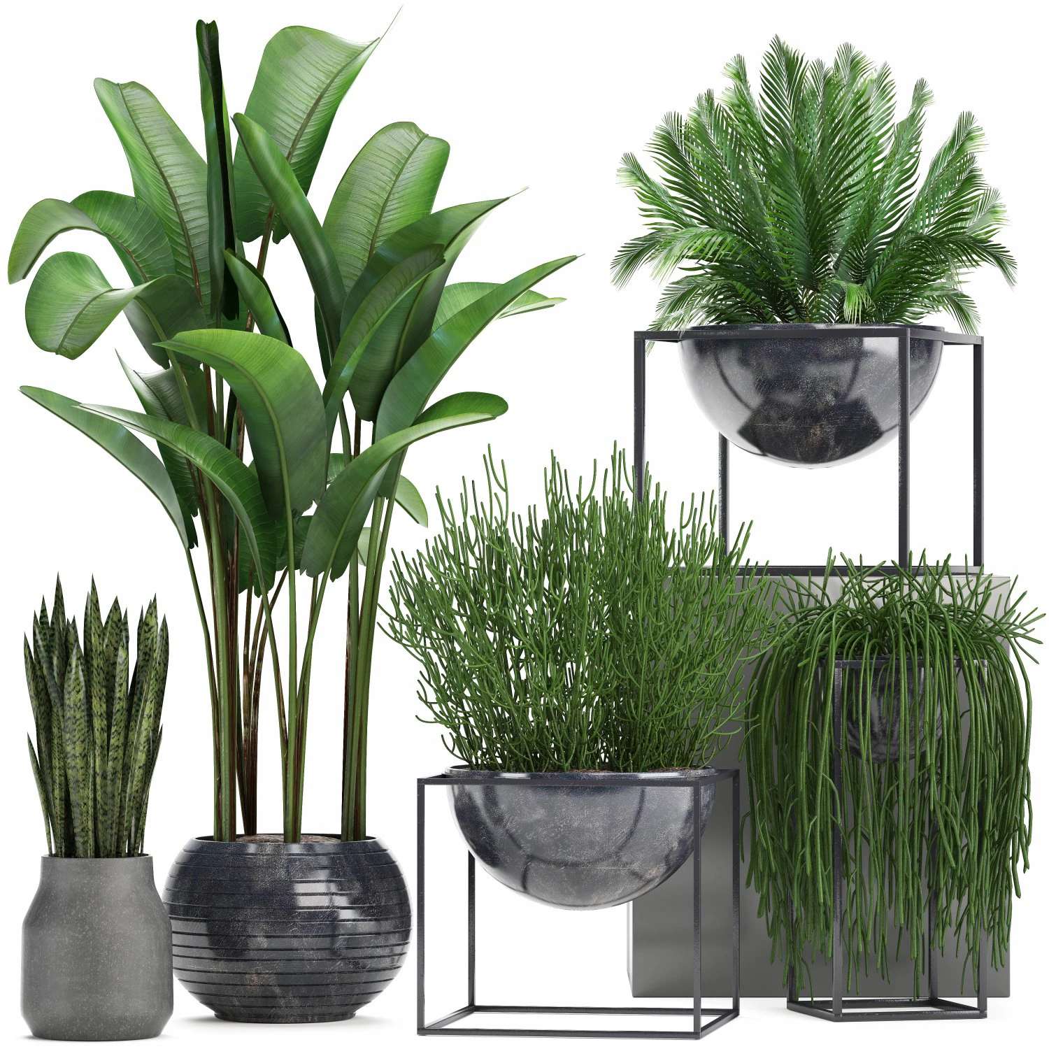 collection exotic plants 3D Model .c4d .max .obj .3ds .fbx .stl .blend 