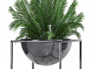 collection exotic plants 3D Model