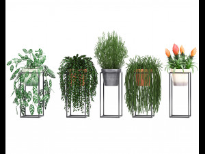 collection exotic plants 3D Model