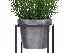 collection exotic plants 3D Model