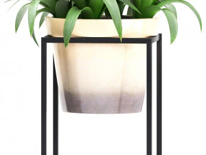 collection exotic plants 3D Model