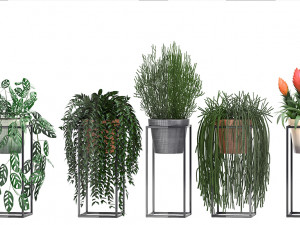 collection exotic plants 3D Model