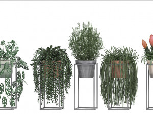 collection exotic plants 3D Model