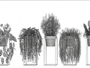 collection exotic plants 3D Model