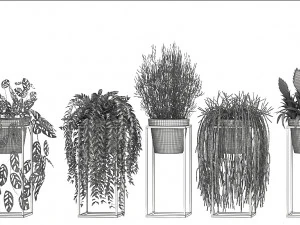 collection exotic plants 3D Model