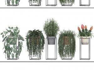 collection exotic plants 3D Model