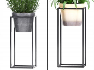 collection exotic plants 3D Model